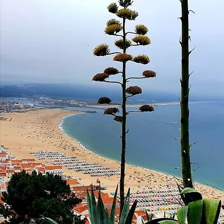 Alojamento Madeira * Nazare